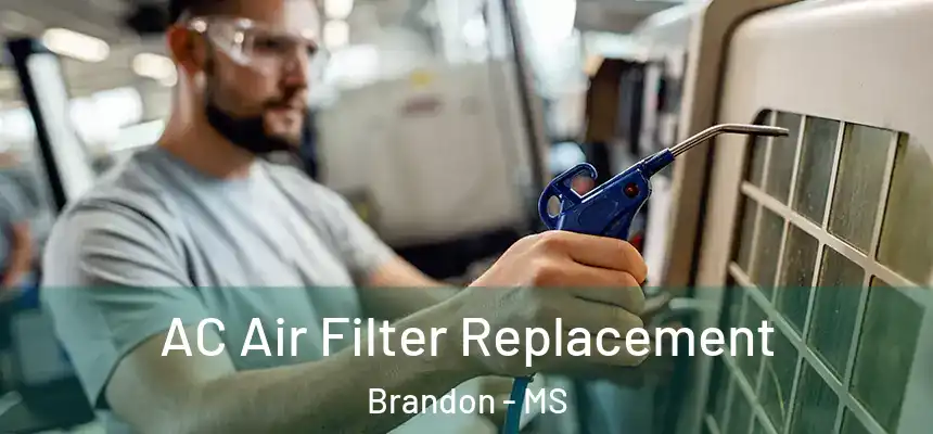  AC Air Filter Replacement Brandon - MS