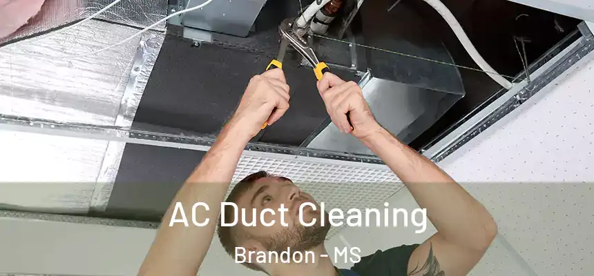  AC Duct Cleaning Brandon - MS