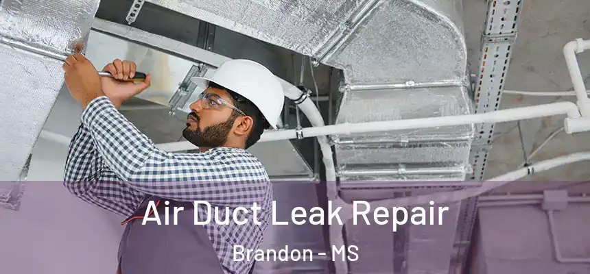  Air Duct Leak Repair Brandon - MS