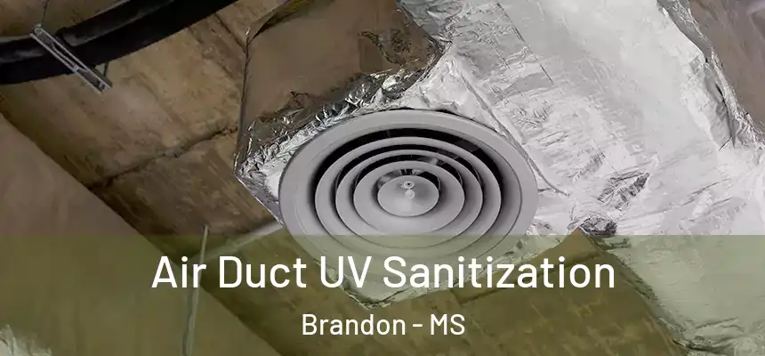  Air Duct UV Sanitization Brandon - MS