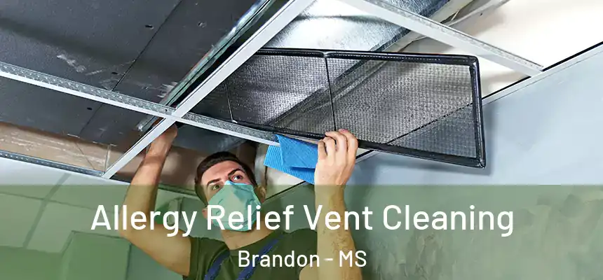  Allergy Relief Vent Cleaning Brandon - MS
