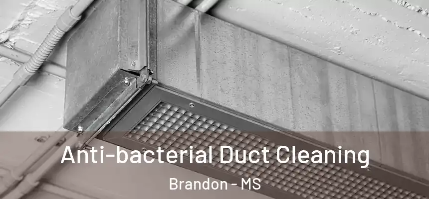  Anti-bacterial Duct Cleaning Brandon - MS