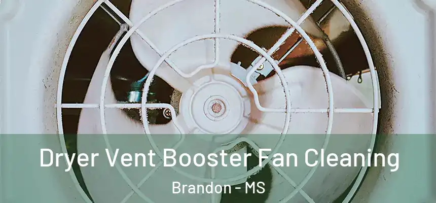  Dryer Vent Booster Fan Cleaning Brandon - MS