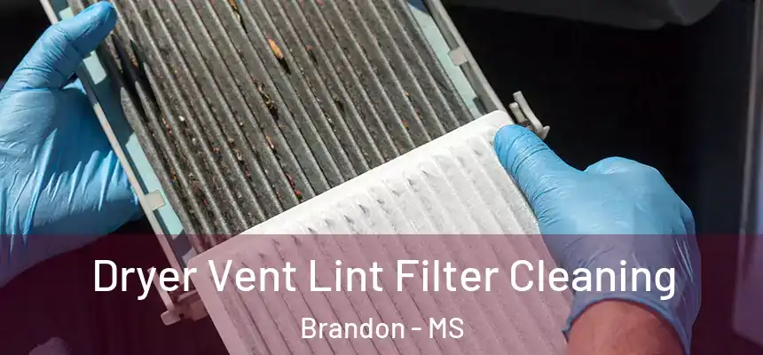  Dryer Vent Lint Filter Cleaning Brandon - MS