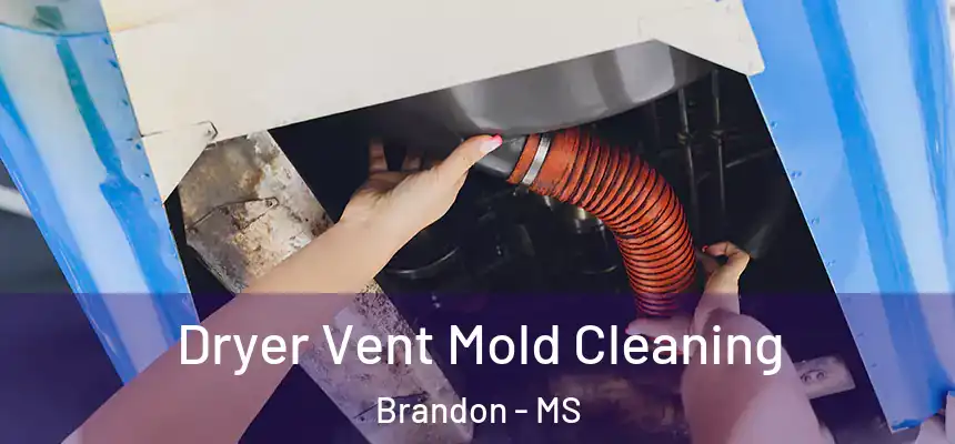 Dryer Vent Mold Cleaning Brandon - MS