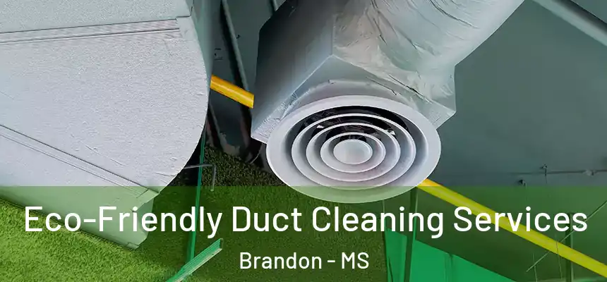  Eco-Friendly Duct Cleaning Services Brandon - MS
