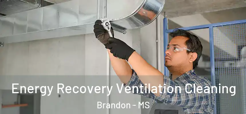 Energy Recovery Ventilation Cleaning Brandon - MS
