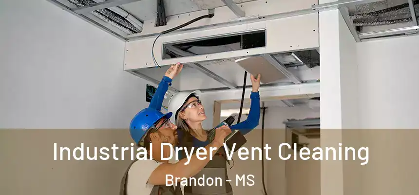  Industrial Dryer Vent Cleaning Brandon - MS