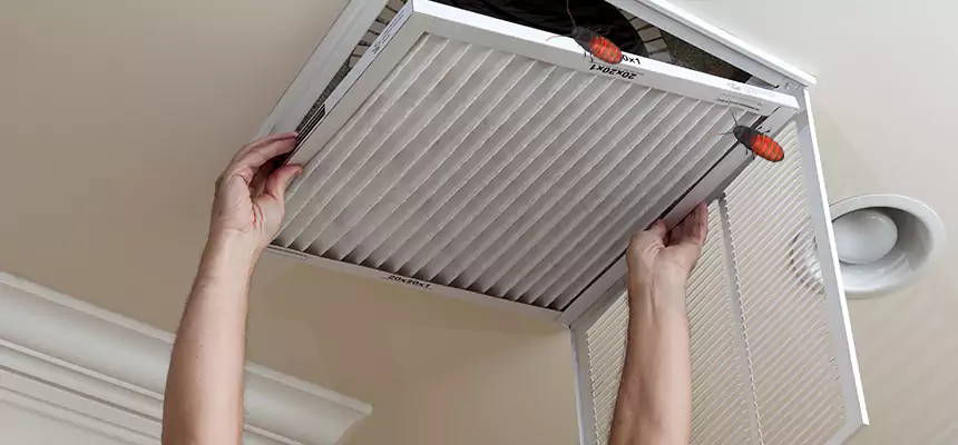 Preventive Cockroach-Proofing for Ducts in Brandon