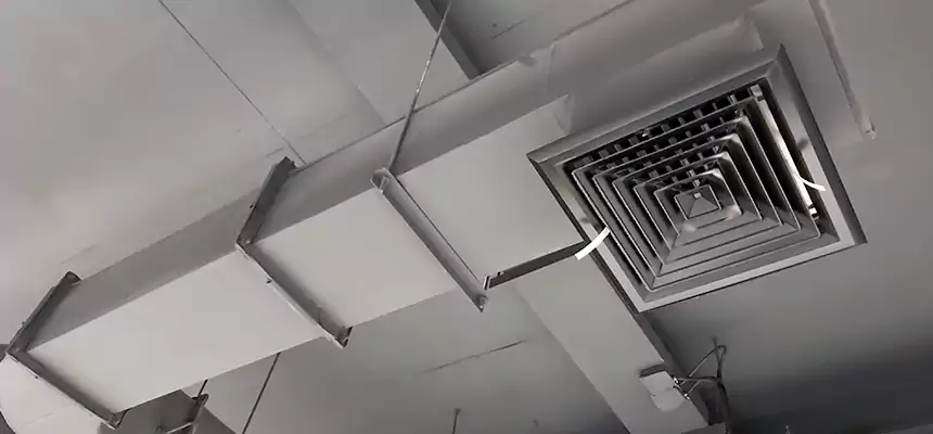 Our Pest Removal From Ducts Services in Brandon, MS