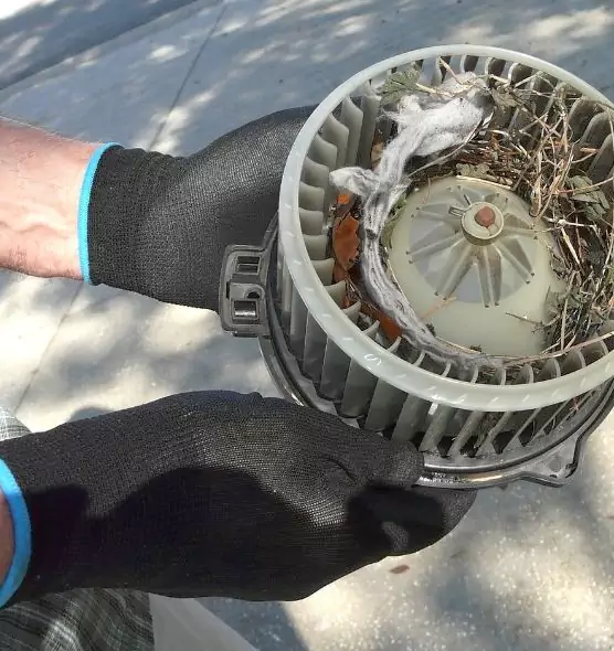 About Air Duct Mice Removal in Brandon, MS