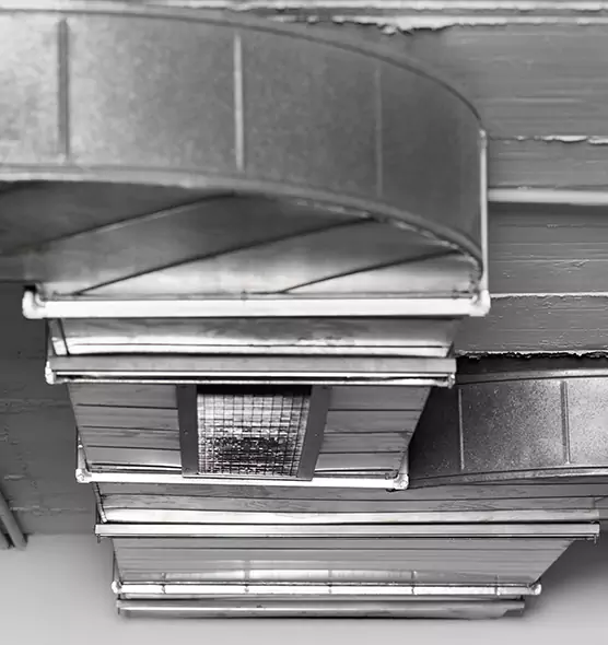 Professional Air Duct Pest Removal in Brandon, MS