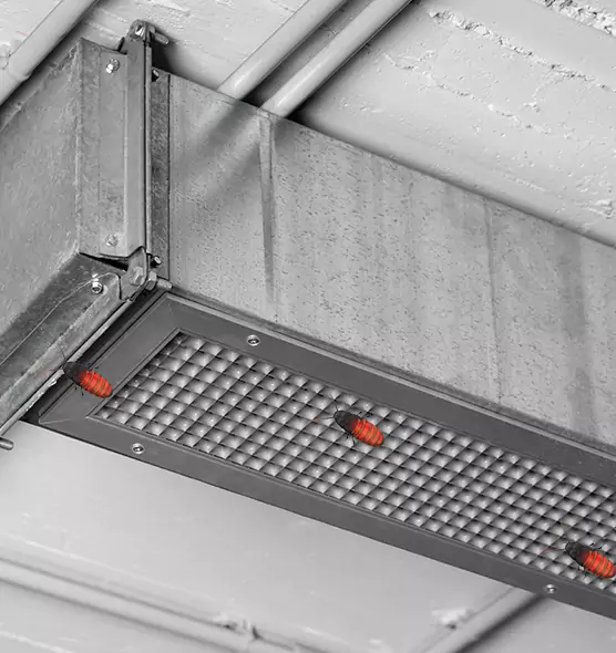 Affordable Insect Removal from Air Ducts in Brandon, MS