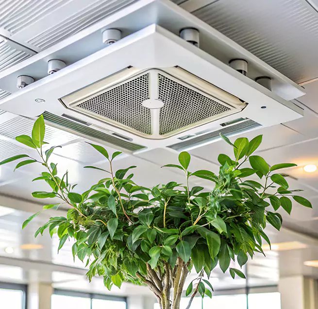 Why Homeowners & Businesses Trust Us in Brandon, MS