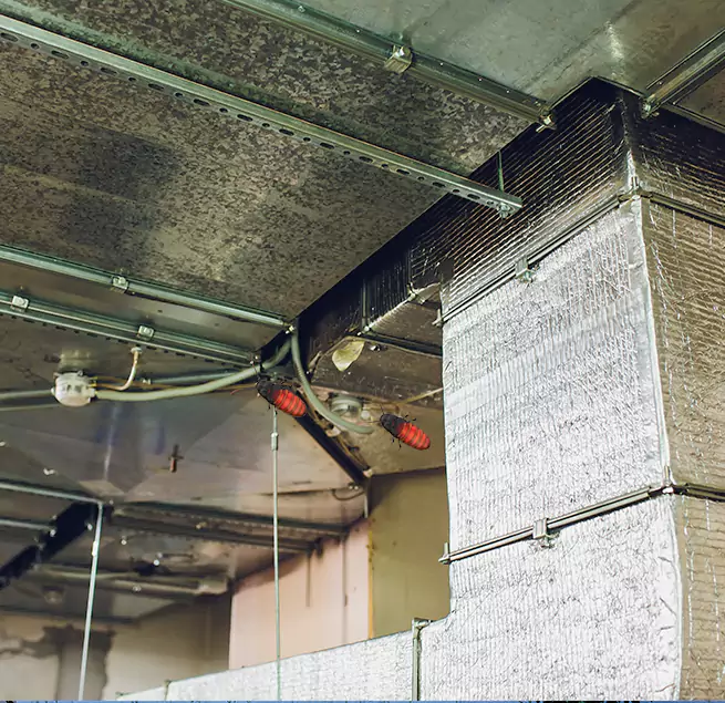 Why Homeowners & Businesses Trust Us Brandon, MS?