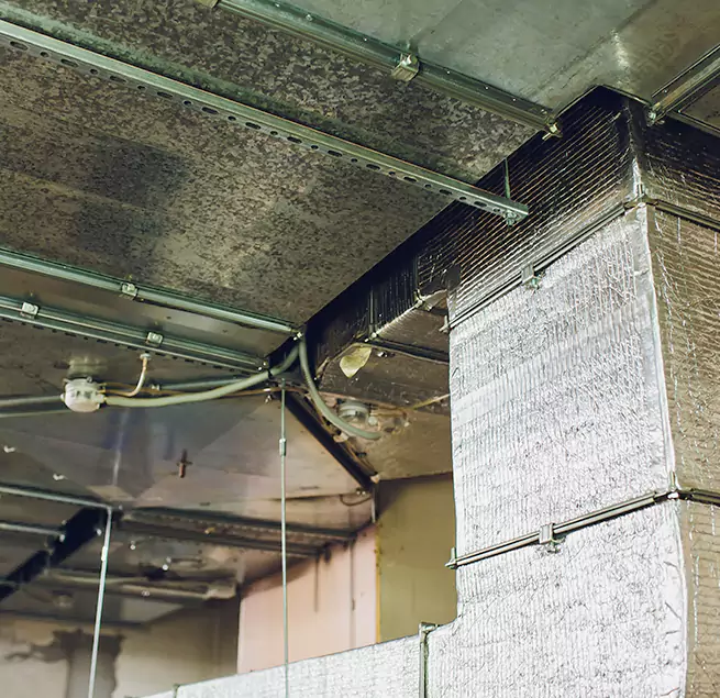 Why Homeowners & Businesses Trust Us in Brandon, MS?