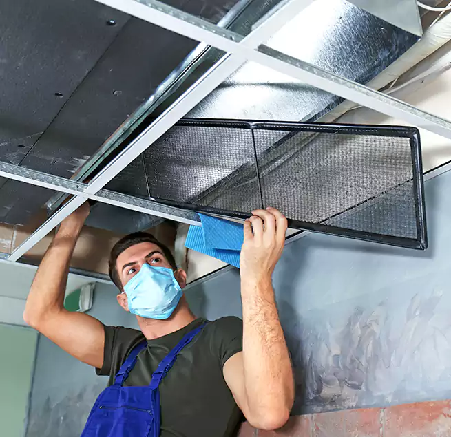 Why Homeowners Businesses Trust Us in Brandon, MS