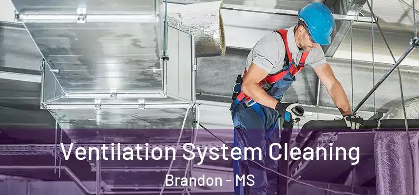  Ventilation System Cleaning Brandon - MS
