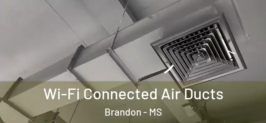  Wi-Fi Connected Air Ducts Brandon - MS
